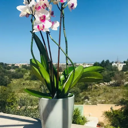 Casa Vacanze Il Carrubo * Trani